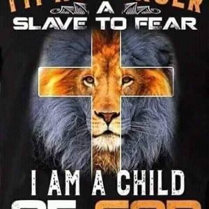 Meet your Posher, Felipe